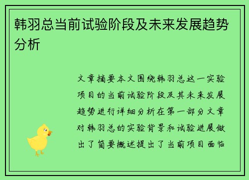韩羽总当前试验阶段及未来发展趋势分析