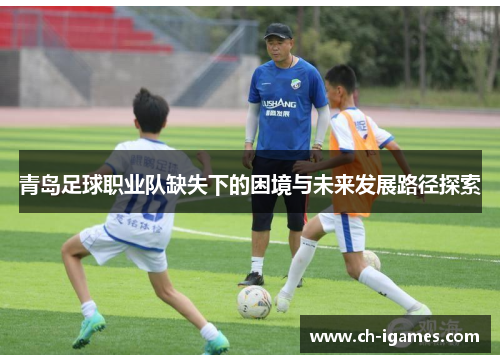 青岛足球职业队缺失下的困境与未来发展路径探索